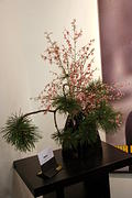 img_8496_ikebana_medium.jpg