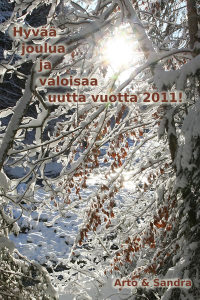 Kuva: Lumen peittämiä syksyn lehtiä auringonpaisteessa.