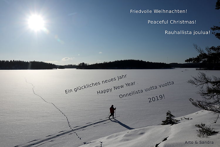 Skiing on the frozen lake Saimaa, Finland, February 2018.