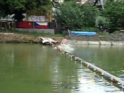 cimg0493_slapsky_bahnak_2.avi