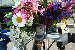 img_6578_odometer_flowers_medium.jpg