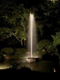 fountain_night.jpg