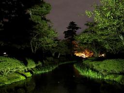 hanami_bashi_night.jpg