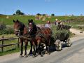 Two ladies riding a horse cart in rural Romania.