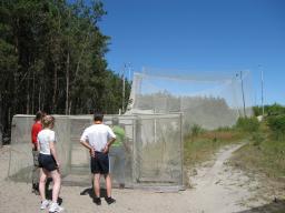 Setä on jäänyt lintuverkon vangiksi