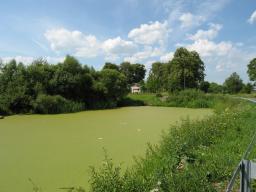 Kansitettu lampi siellä jossain