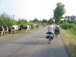 Paikallisliikennettä