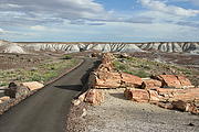 img_9912_petrified_wood_and_painted_desert_medium.jpg