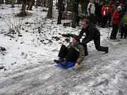 img_5697_sledging_angi_medium.jpg