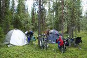 Tents in the forest